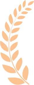 배경