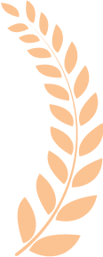 배경